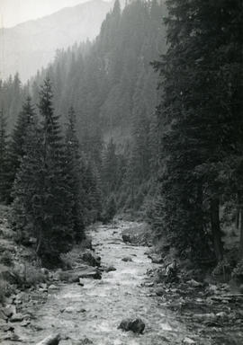 Tatry