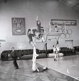 Pokaz gimnastyczny
