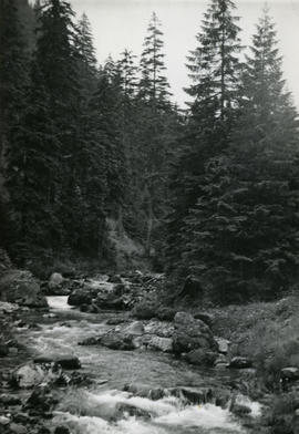 Tatry