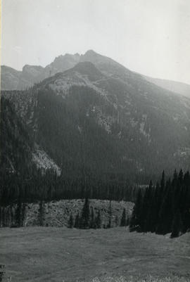 Tatry
