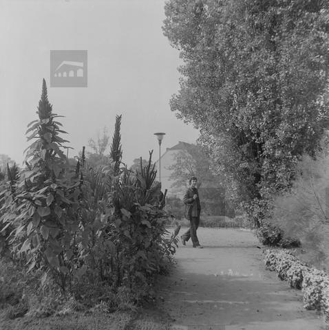 Original Obiekt cyfrowy not accessible