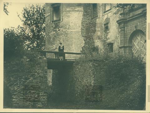 Original Obiekt cyfrowy not accessible