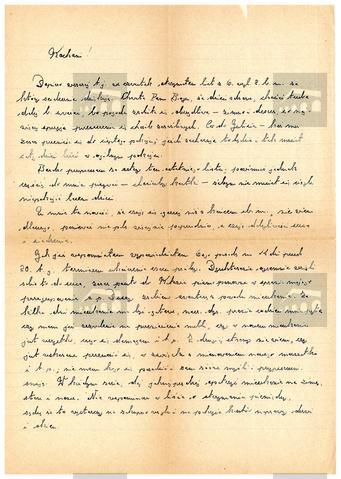 Original Obiekt cyfrowy not accessible