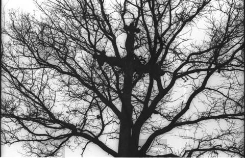 Original Obiekt cyfrowy not accessible