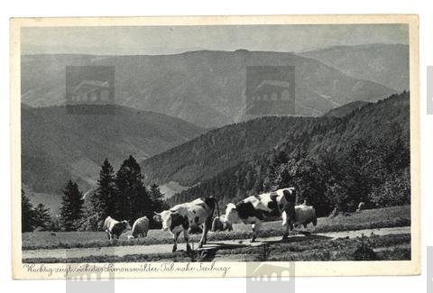 Original Obiekt cyfrowy not accessible