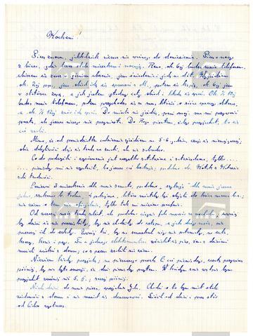 Original Obiekt cyfrowy not accessible